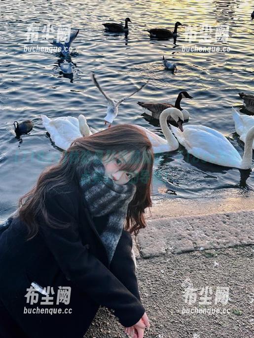 体验最肤浅的瓜韵：718sx为你点亮吃瓜的导航！