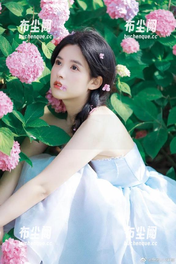 用苹果看911黑料，仿佛变成了热搜追踪员，意外收获不少乐趣！