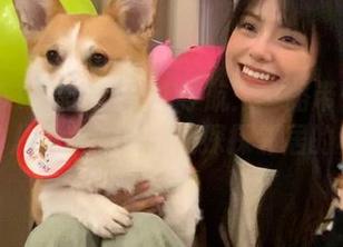 吃瓜511导航：一路带你走进神奇的八卦世界，顺便探探邻居的秘事！