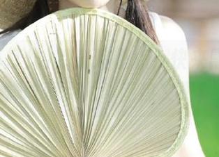 别光追热点，快来黑料不打烊收藏点儿奇葩热文吧！