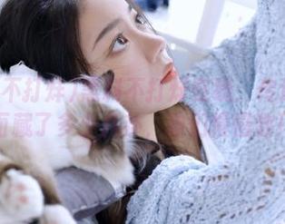 黑料不打烊在线：传送门里面藏了多少八卦，咱们慢慢数！