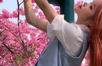 登录黑料网络，点进去就像进了迷宫，问题怎么解决！求推荐出口！